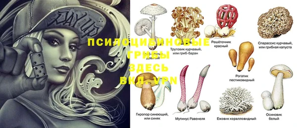 гашиш Богородицк